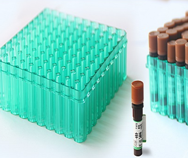 視頻短信平臺(tái)